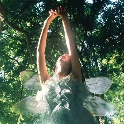 盛装舞步爱作战粤语